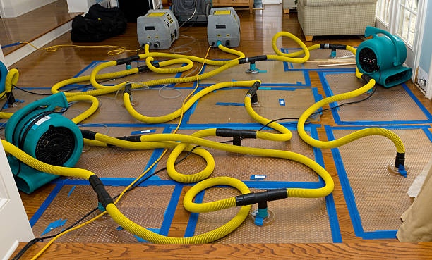 Professional Water Damage Repair technician working in Butler, IN